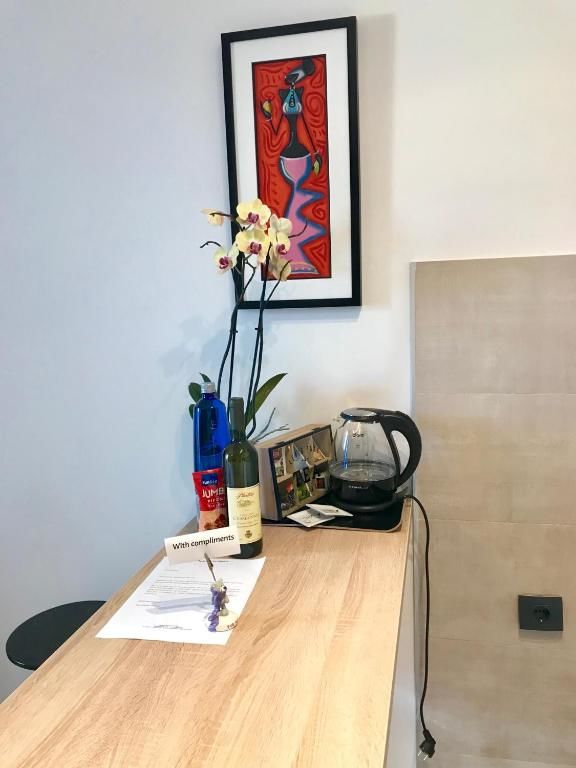 Апартаменты Apartments Doclea Подгорица-56